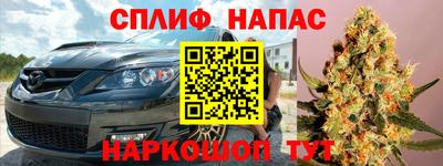 СК Славгород