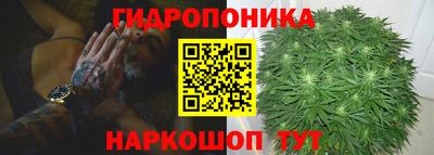дурь Сланцы