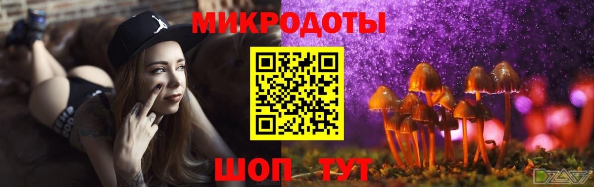 Псилоцибиновые грибы Cubensis Рассказово